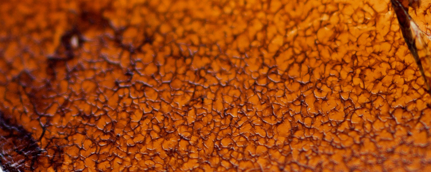 GOgraphene Graphene Oxide amber flake